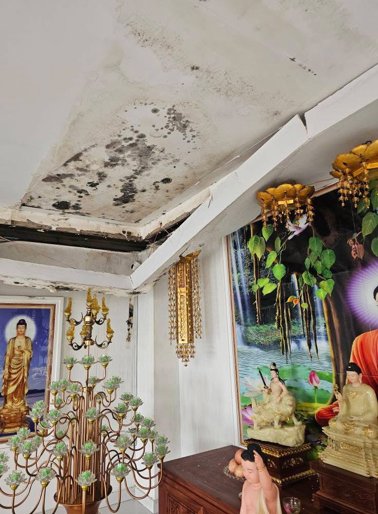 Temple Roof and Ceiling Repair