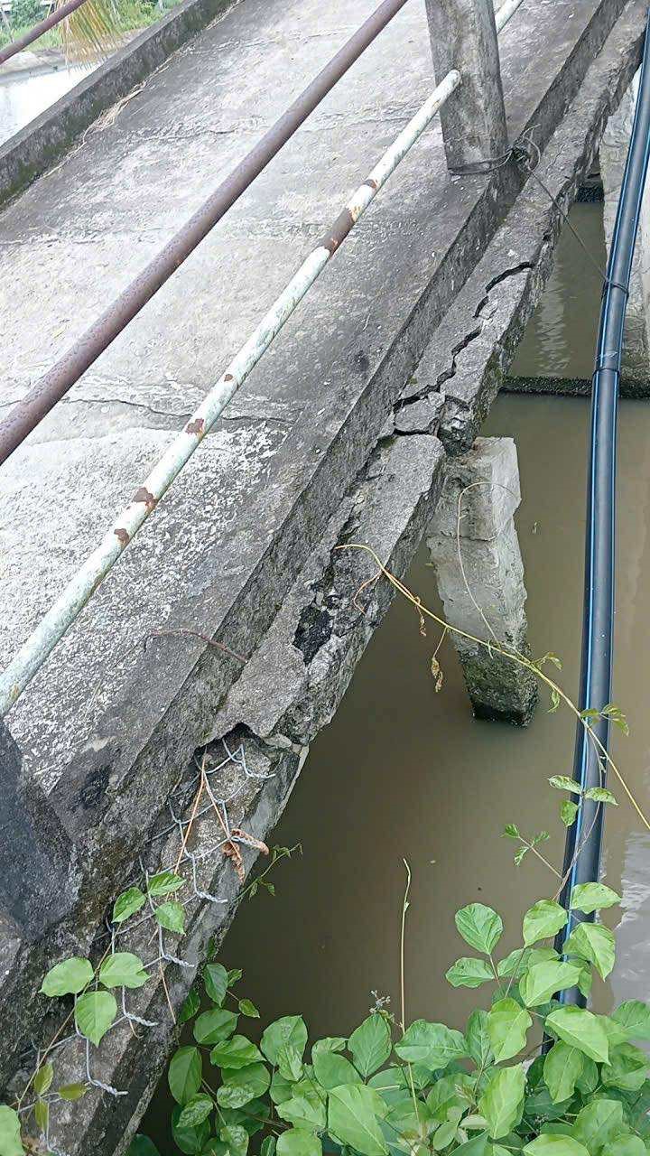 Bridges in Southern rural area